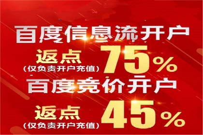 某电商平台充值返点活动用户行为分析